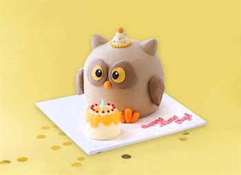Торт Сова с тортом 3D 2,5кг - фото 17259